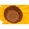 Foto  - 2