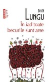 In iad toate becurile sunt arse - Dan Lungu