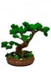 Bonsai cu licheni, muschi naturali stabilizati si plante criogenate, mare (28x31x16 cm), verde maro