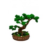 Bonsai cu licheni, muschi naturali stabilizati si plante criogenate, mare (28x31x16 cm), verde maro