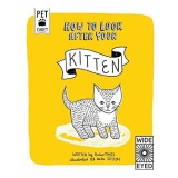 How to Look After Your Kitten