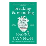 Breaking and Mending carte straina editura Penguin