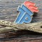 INSIGNA DE PIONIER GERMANIA DEMOCRATA (RDG/DDR) - 1958-1959