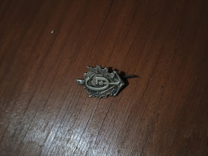 INSIGNA EFECT MILITAR G