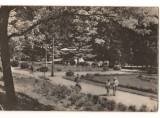 CPIB 17463 CARTE POSTALA - SLANIC MOLDOVA. VEDERE DIN PARC, RPR, Circulata, Fotografie