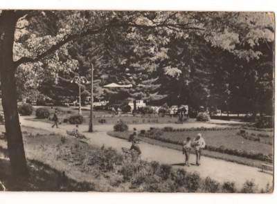 CPIB 17463 CARTE POSTALA - SLANIC MOLDOVA. VEDERE DIN PARC, RPR foto