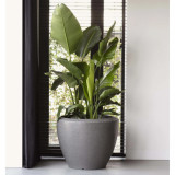 Capi Jardinieră plante joasă &bdquo;Arc Granite&rdquo;, conică, antracit, 60x48 cm