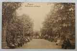 FOCSANI , PARCUL PUBLIC , CARTE POSTALA ILUSTRATA, INCEPUT DE SEC. XX