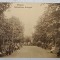 FOCSANI , PARCUL PUBLIC , CARTE POSTALA ILUSTRATA, INCEPUT DE SEC. XX