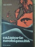 CALATORIE NEOBISNUITA-RADU THEODORU-351425