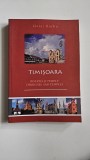 Banat - Matei Barbu, Timisoara. Biserici si Temple, Istorie, 2018, 376 pagini