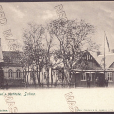 5183 - SULINA, Tulcea, Litho, Romania - old postcard - unused