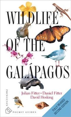 Wildlife of the Galapagos foto