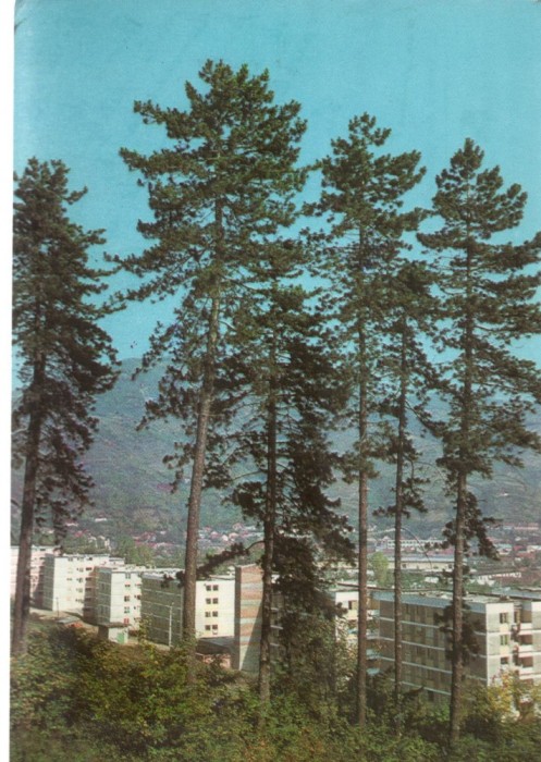 CPI B 11645 CARTE POSTALA - SIMLEUL SILVANIEI
