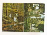 RF167 - Carte Postala - Sasca Montana. Valea Beusnitei din Muntii aninei, circulata