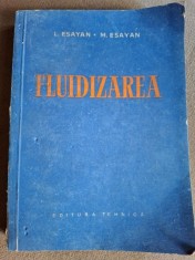 FLUIDIZAREA - L. ESAYAN