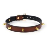 Zgarda Rosy Golden Thorns Maro