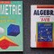 ALGEBRA + GEOMETRIE PENTRU CLASELE VI-VIII - Florica Banu