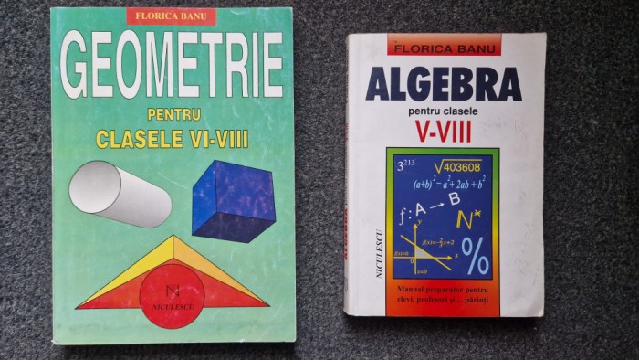 ALGEBRA + GEOMETRIE PENTRU CLASELE VI-VIII - Florica Banu