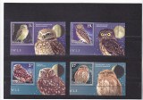 ROMANIA 2020 - CUCUVELE, CU VINIETA, MNH - LP 2295, Fauna, Nestampilat