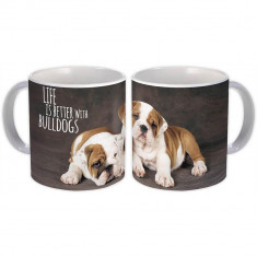 Doi Bulldog : Cadou Halba : Dog Studio Via?a este mai buna cu Bulldogs Puppy Animal foto