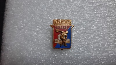 insigna CMBEFS foto