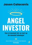 Angel Investor. Cum să investești &icirc;ntr-un start-up din domeniul tehnologiei - Editura Curtea Veche