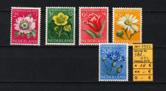 Timbre Olanda, 1952 | Plante, Flori, Serie Speciala | Serie completa - Mint-NG foto
