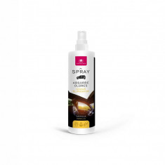 Spray auto "Absoarbe mirosurile", Vanilie 100 ml