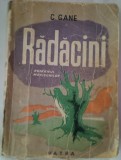 C.Gane-Radacini-Romanul Macisenilor