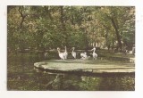 RF151 - Carte Postala - Bucuresti. Gradina Cismigiu, circulata 1966