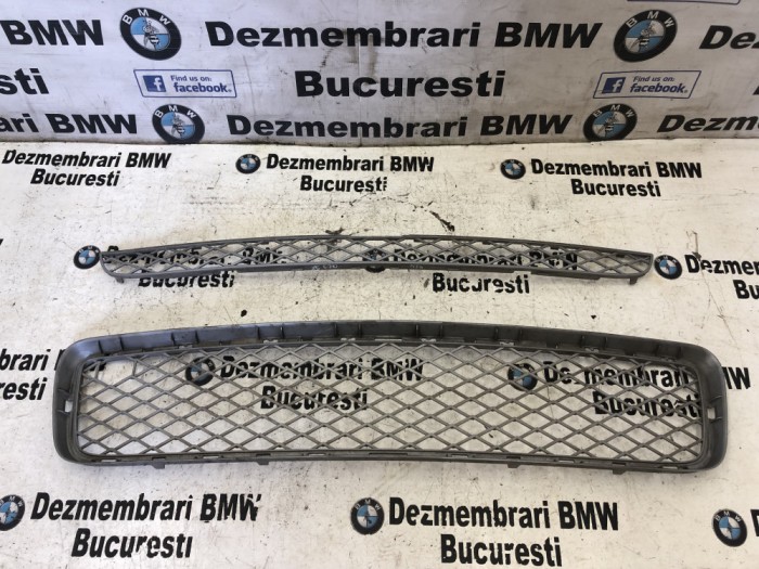 Grila bara fata BMW X5 E70