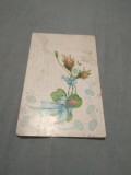 CARTE POSTAL FELICITARE CIRCULATA ORAVICZA 1908