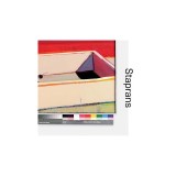 Full Spectrum: Paintings by Raimonds Staprans