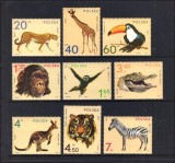 Polonia 1972 - Animale din zoo, serie neuzata
