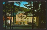 CPIB 22337 - CARTE POSTALA - SINAIA. HOTEL PALAS, AUTOTURISM, Circulata, Fotografie