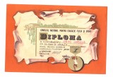 Diploma Consiliul National pentru Educatie Fizica si Sport, inot 1980