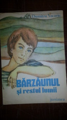 Barzaunul si restul lumii &amp;amp;#8211; Dumitru Vacariu foto