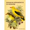 Madarak k&eacute;pesk&ouml;nyve &eacute;s sz&iacute;nezője