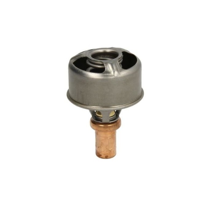 Termostat motorad Renault