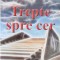 TREPTE SPRE CER-RAZVAN SERBU-243906