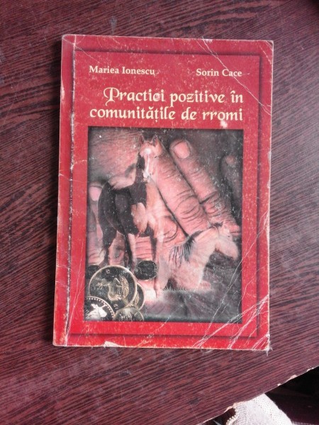 PRACTICI POZITIVE IN COMUNITATILE DE RROMI - MARIEA IONESCU