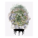 Another kind of record