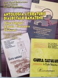 Antologia literaturii dialectale banatene. Gura satului la Radio Timisoara. Poezie si proza - Ioan Viorel Boldureanu; C. Ungureanu