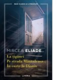 La tiganci. Pe strada Mantuleasa. In curte la Dionis - Mircea Eliade