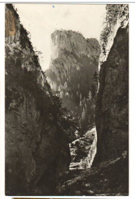 CPIB 17460 CARTE POSTALA - CHEILE BICAZULUI foto