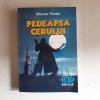 Pedeapsa cerului - RAZVAN NICULA