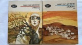 PITULICEA VOL 1+2 - REȘAT NURI GULTEKIN