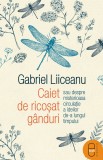 Caiet de ricoșat g&acirc;nduri sau despre misterioasa circulație a ideilor de-a lungul timpului (ebook) - Editura LibHumanitas