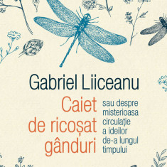 Caiet de ricoșat gânduri sau despre misterioasa circulație a ideilor de-a lungul timpului (ebook)